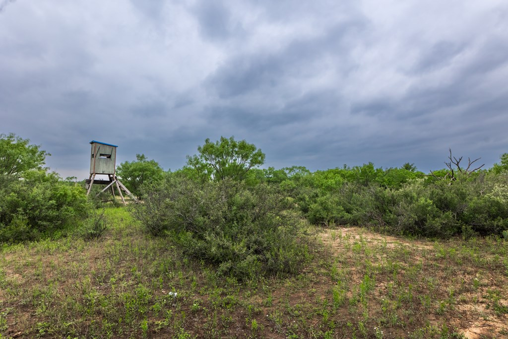 2020 Fm 2635 Property Photo 16