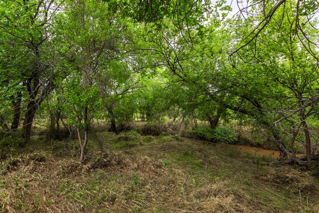 2020 Fm 2635 Property Photo 32