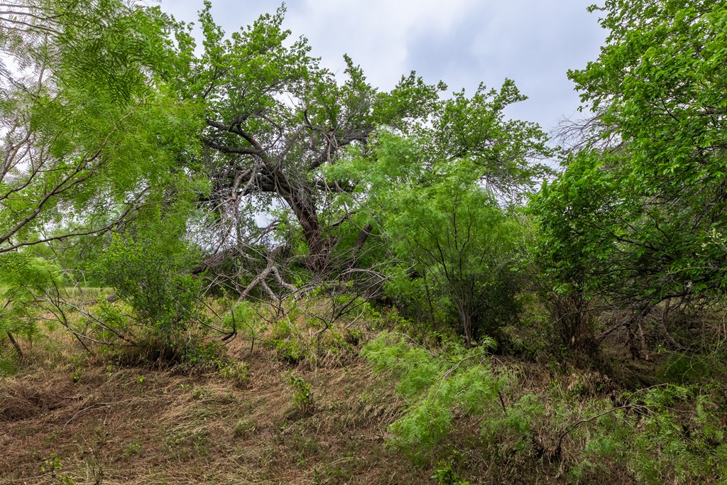 2020 Fm 2635 Property Photo 33