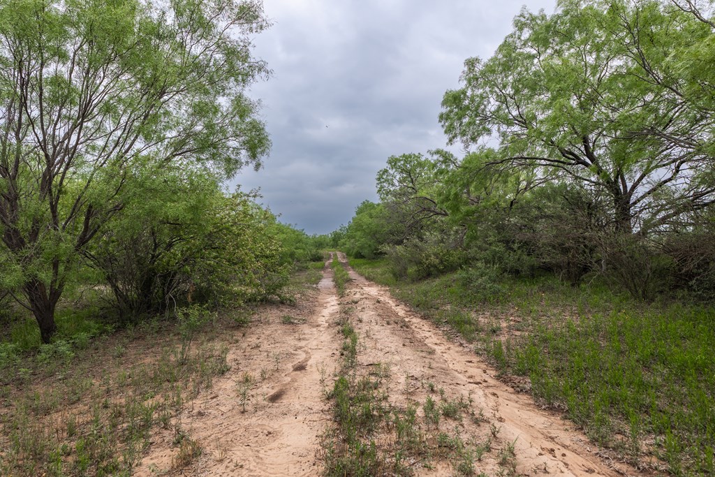 2020 Fm 2635 Property Photo 49