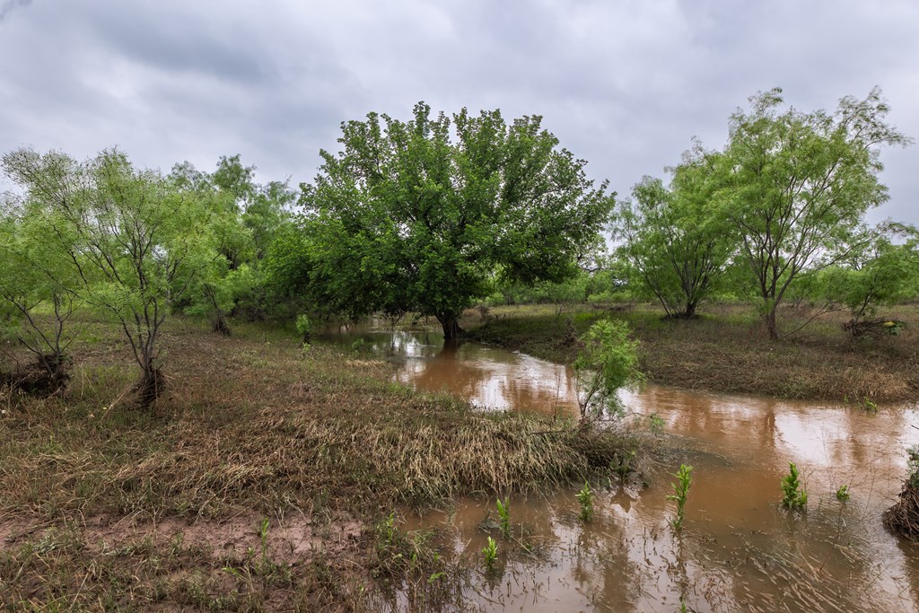 2020 Fm 2635 Property Photo 50