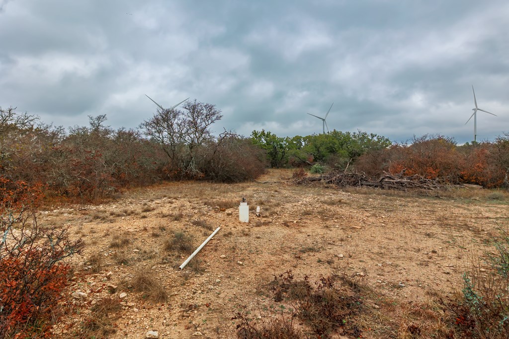 1755 County Rd 152 Property Photo 11