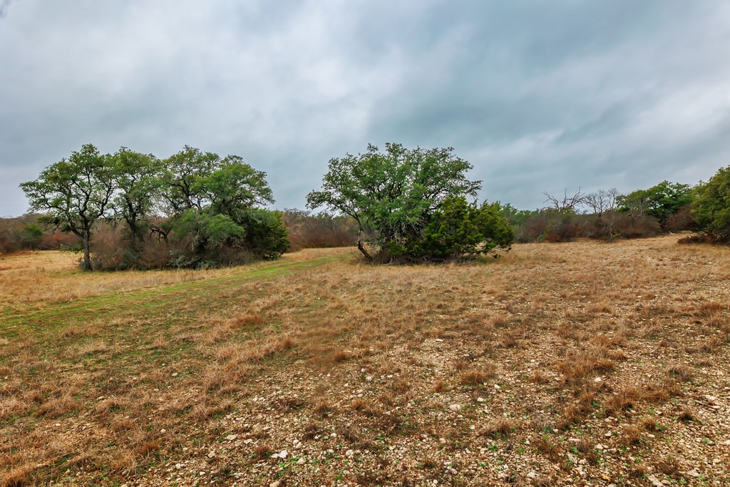 1755 County Rd 152 Property Photo 14