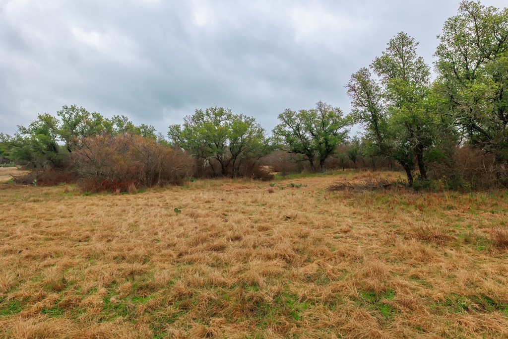1755 County Rd 152 Property Photo 17