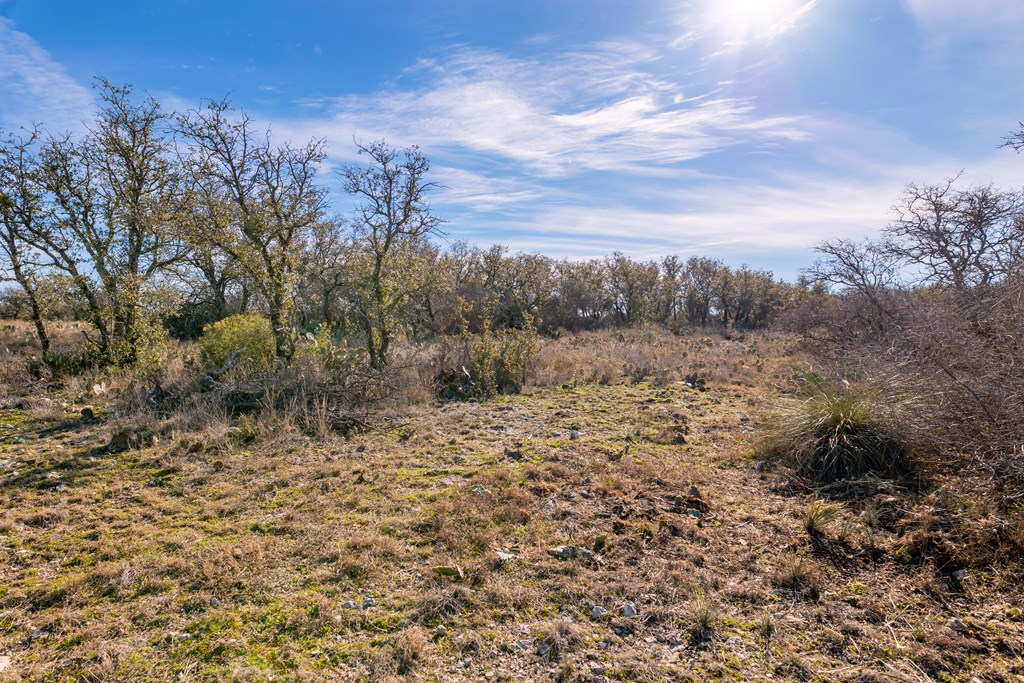 497 County Rd 1222 Property Photo 20