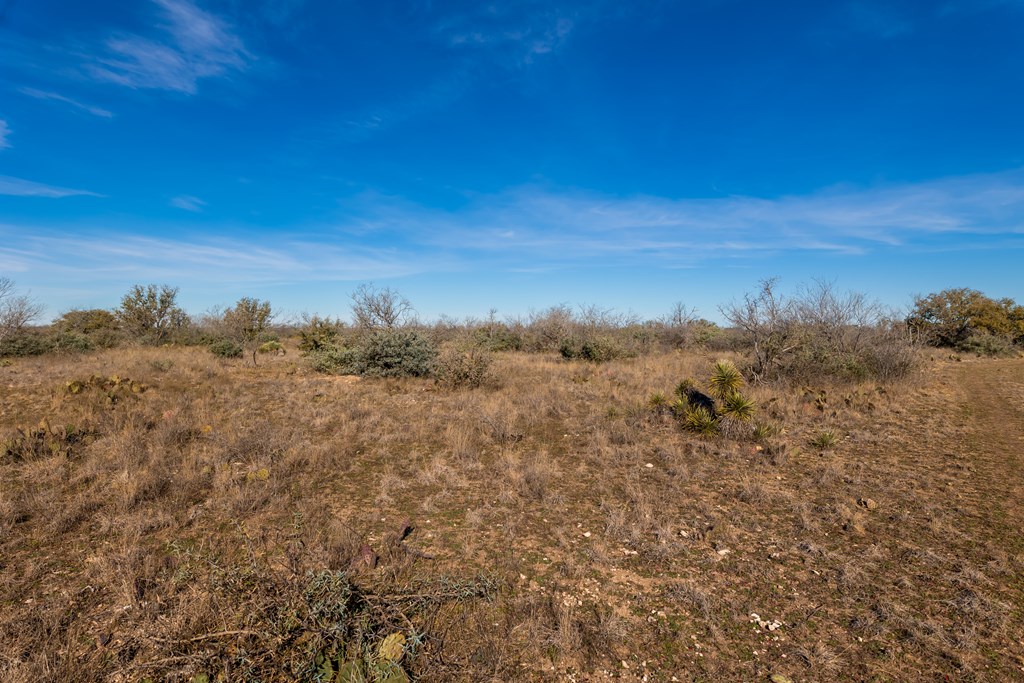497 County Rd 1222 Property Photo 24