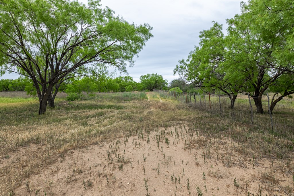 825 E Fm 765 Property Photo 18