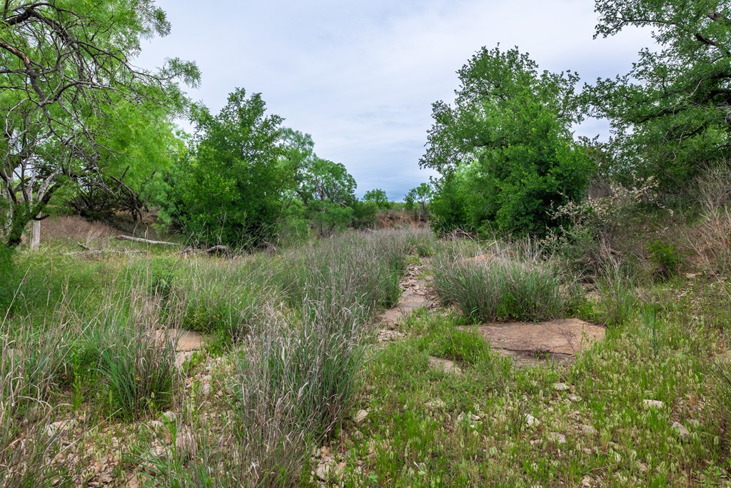 825 E Fm 765 Property Photo 23