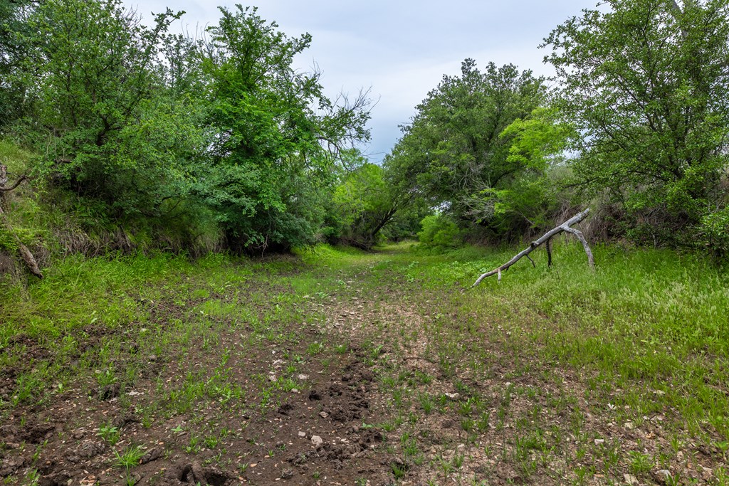 825 E Fm 765 Property Photo 28