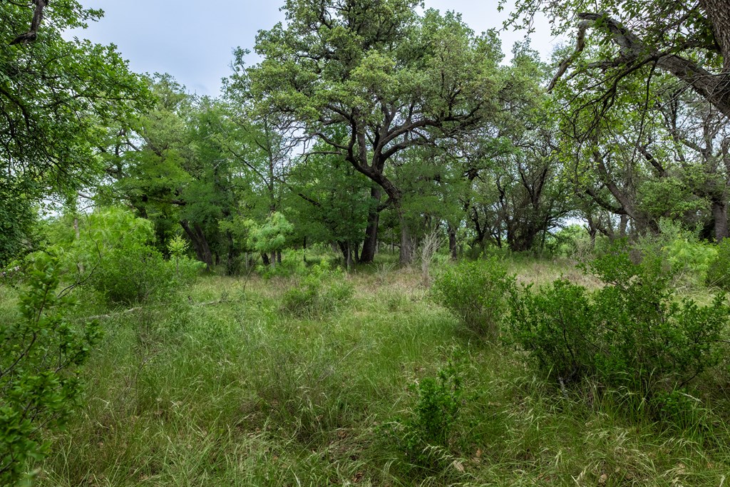825 E Fm 765 Property Photo 39