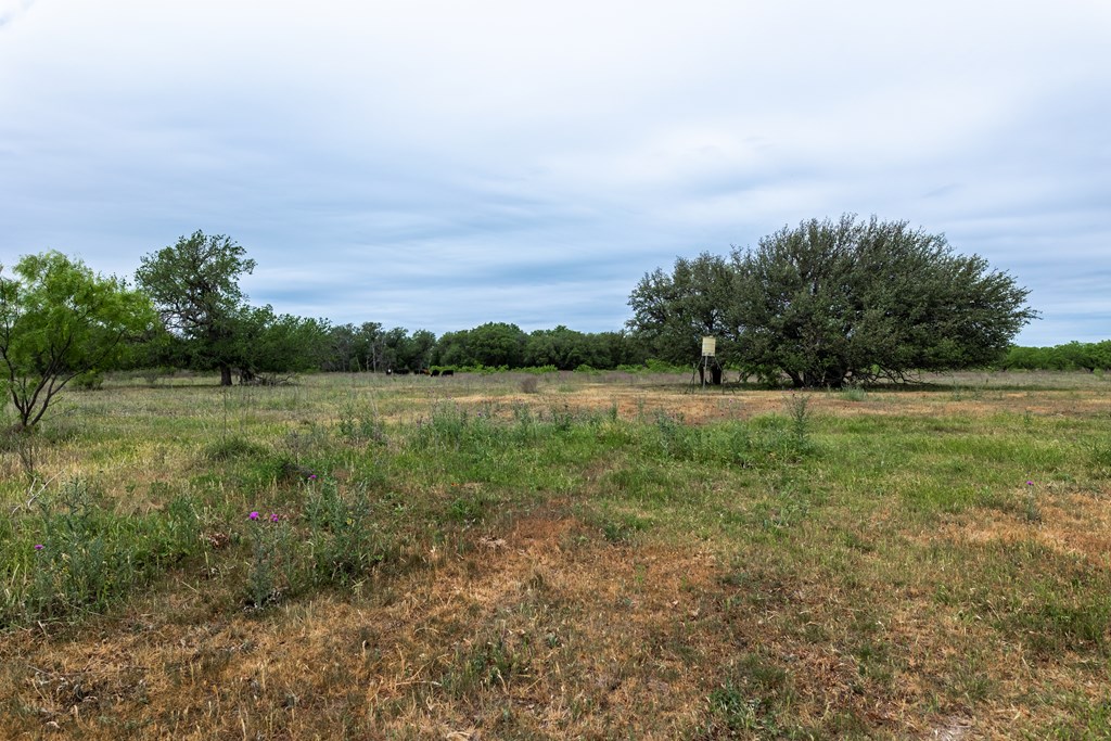 825 E Fm 765 Property Photo 41