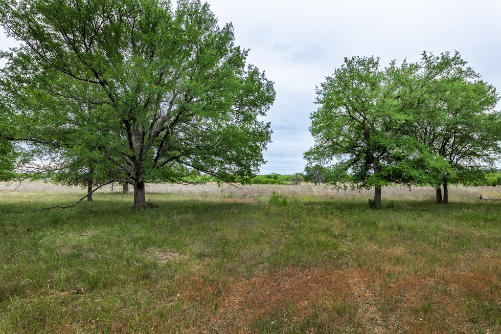 825 E Fm 765 Property Photo 48