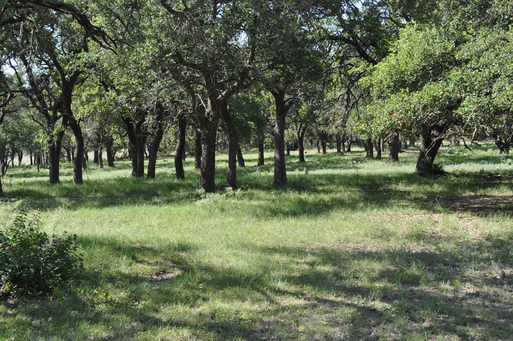 18043 Fm 479 Property Photo 1
