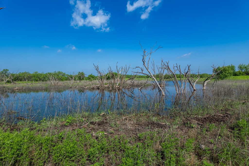 88291 Suaa Rd Well Property Photo 14