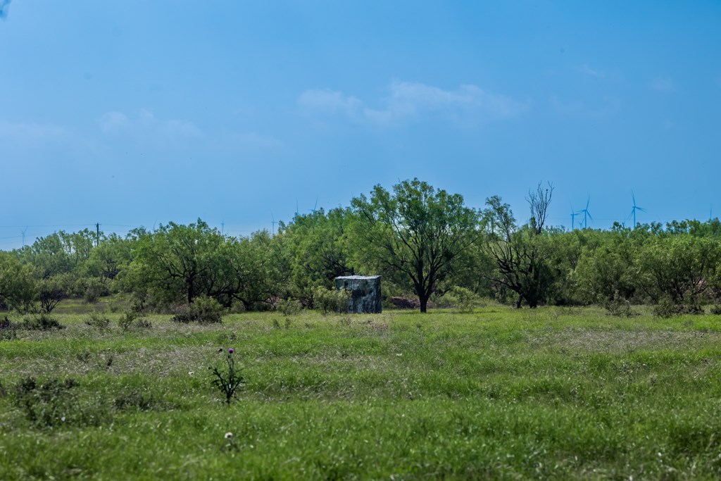 88291 Suaa Rd Well Property Photo 27