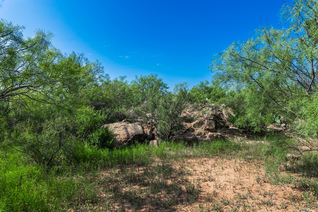 88291 Suaa Rd Well Property Photo 28