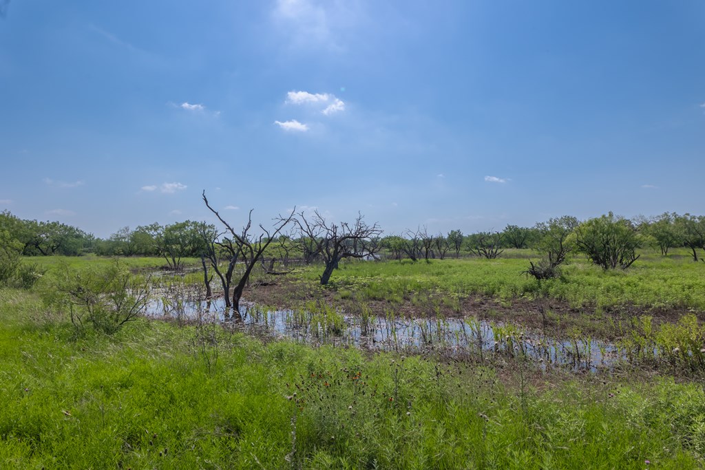 88291 Suaa Rd Well Property Photo 35