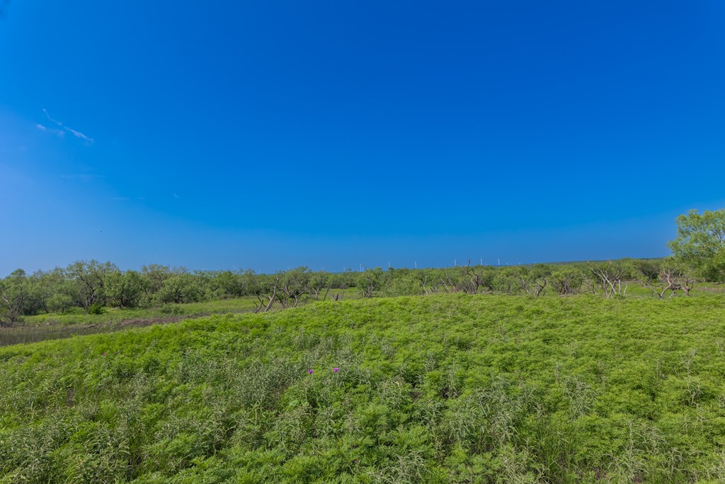 88291 Suaa Rd Well Property Photo 40