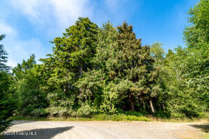 Timberlake Drive Property Photo 1