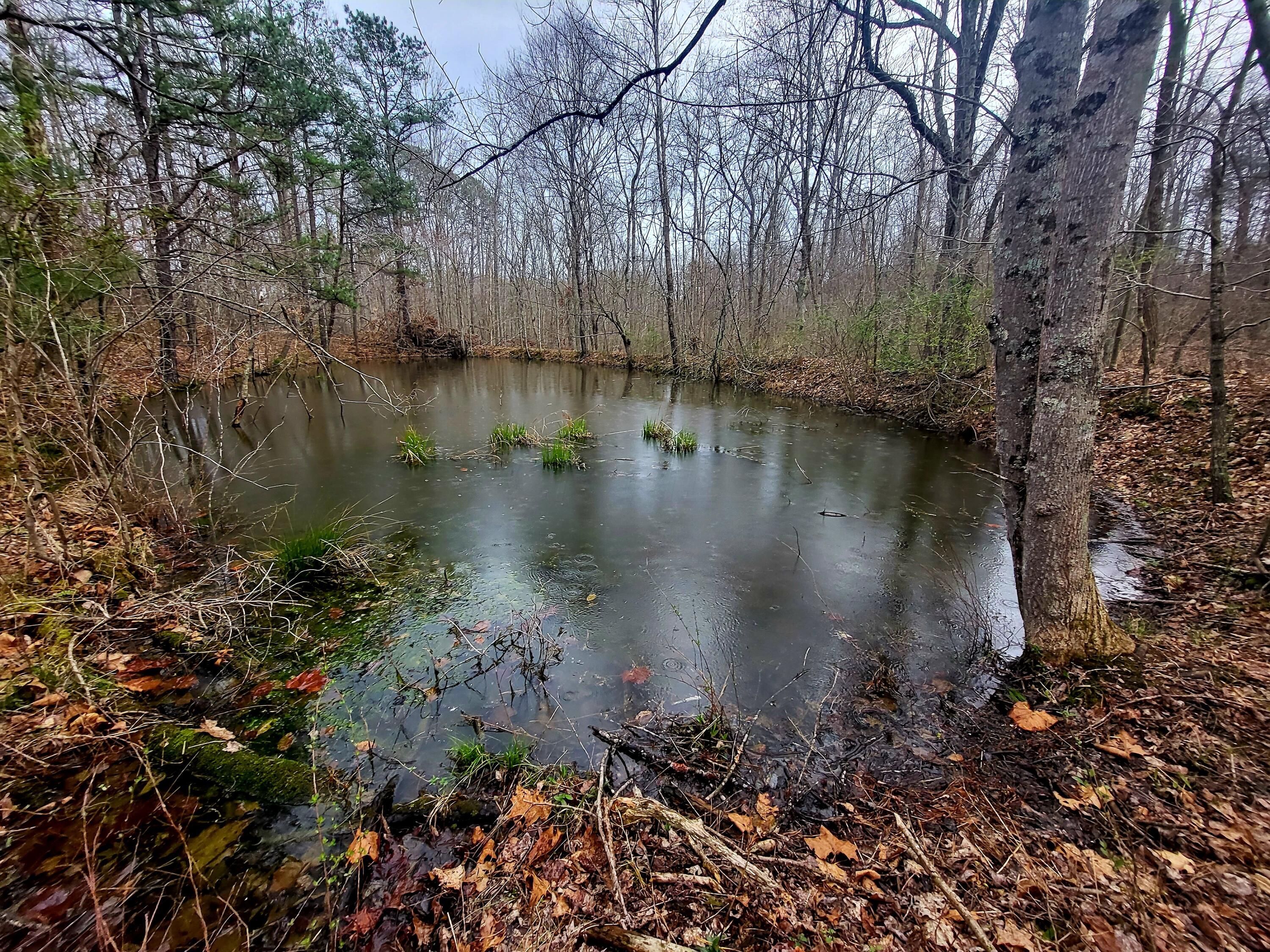 0 Big Rock Road Property Photo 1