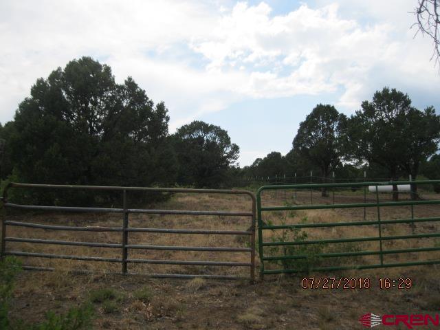 Tbd Wildcat Canyon Road Property Photo