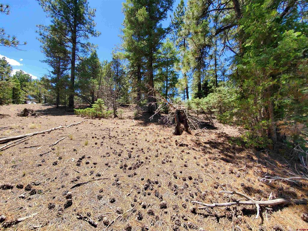 Lot 7 North Rito Hondo Court Property Photo