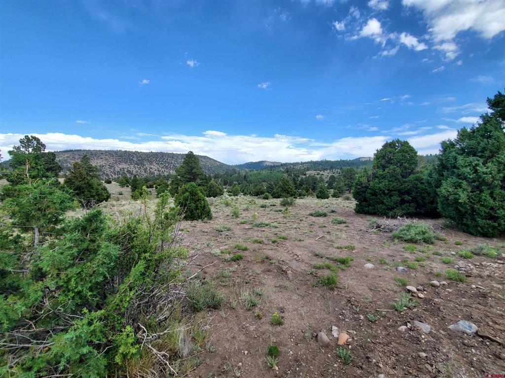 Lot 17a Rito Hondo Road Property Photo