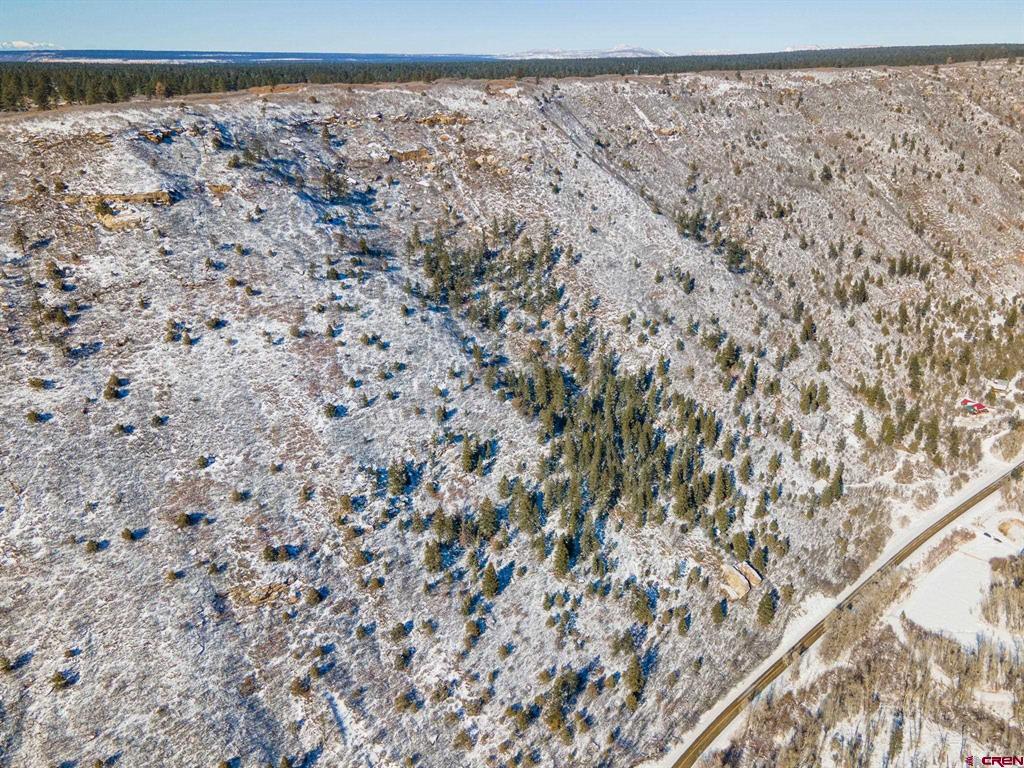 22833 Hwy 145 Property Photo