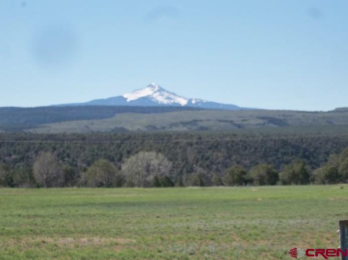 Tbd Highway 145 Property Photo 1
