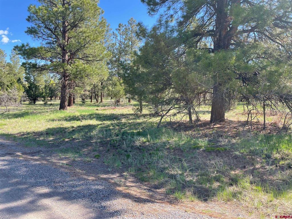 Tbd Lot 308 Bear Cub Drive Property Photo