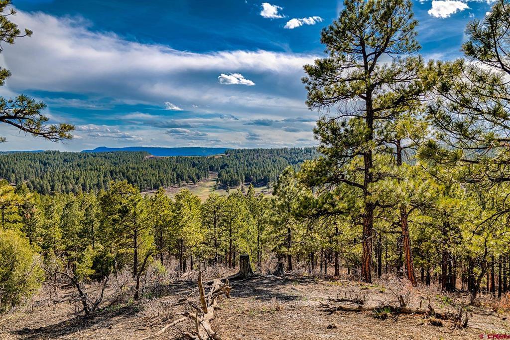 Ps06 (pagosa North) Real Estate Listings Main Image