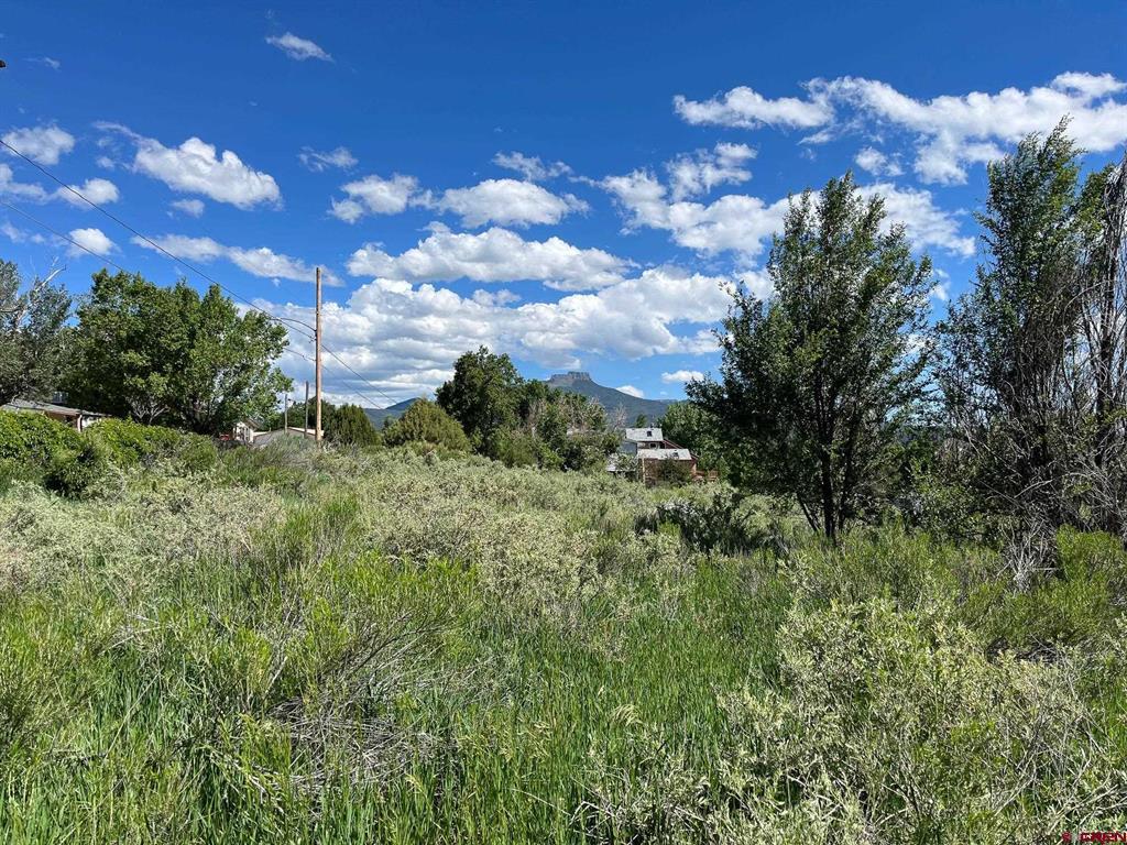 Tbd Willow Property Photo 1