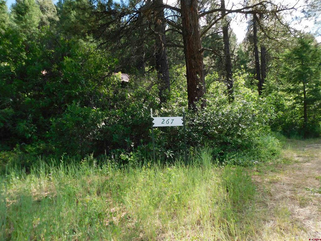 267 Pineridge Trail Property Photo 1