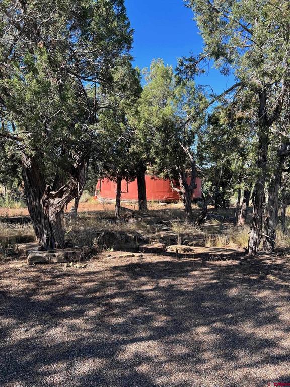 409 Alkali Gulch Road Property Photo 1