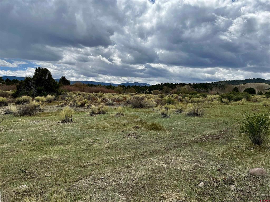 101 Raton Creek Property Photo 1