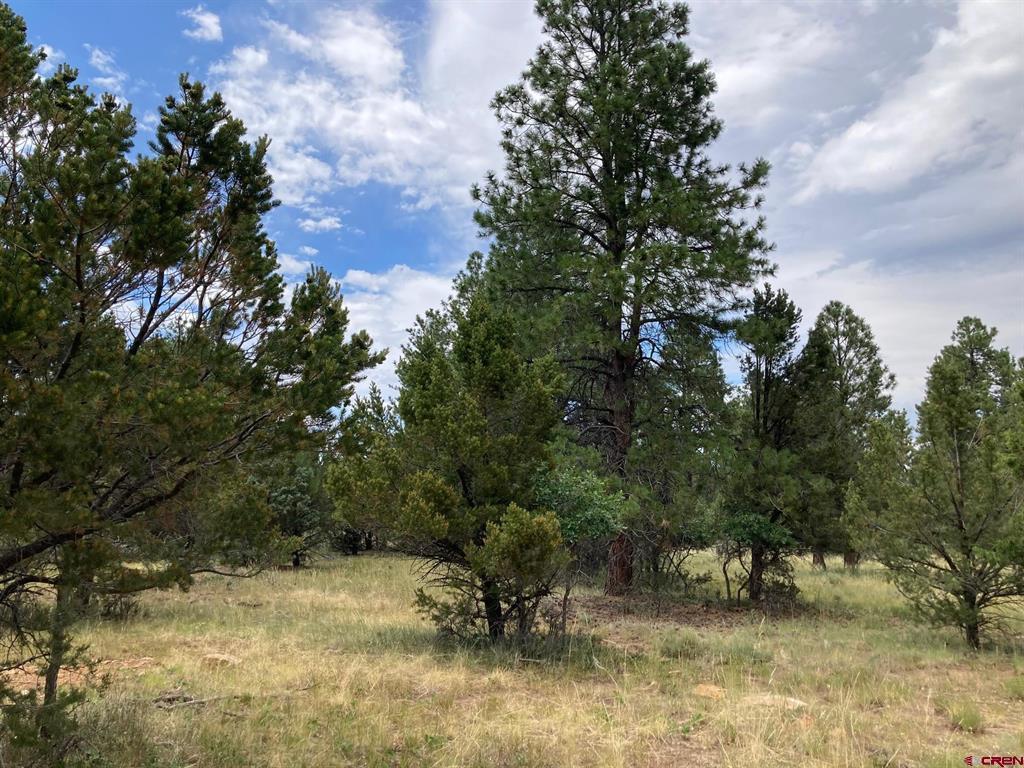 Lot 422 (tbd) South Badger Trail Property Photo