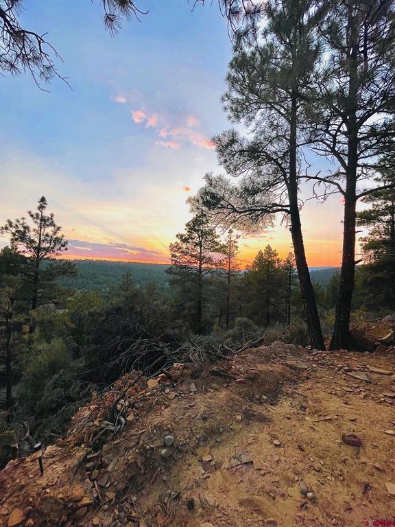 381 & 371 & 333 Cat Creek Overlook Property Photo