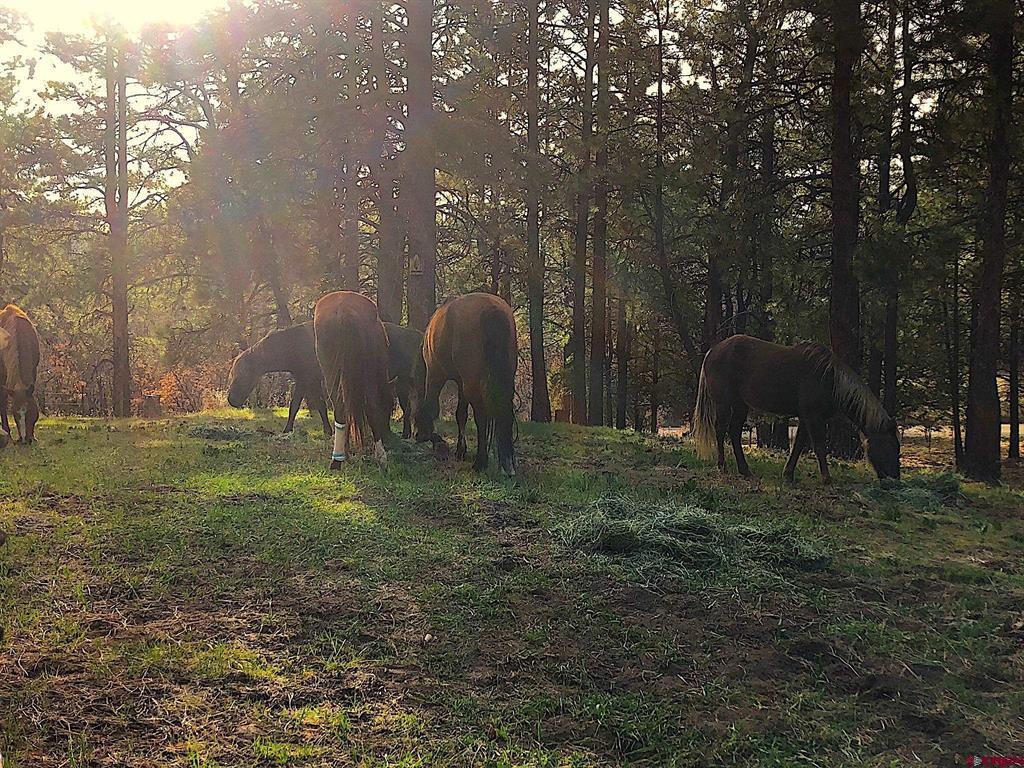 1112 S Black Bear Place Property Photo 1