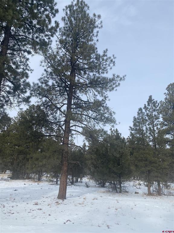 Lot 420 S Badger Trail Property Photo