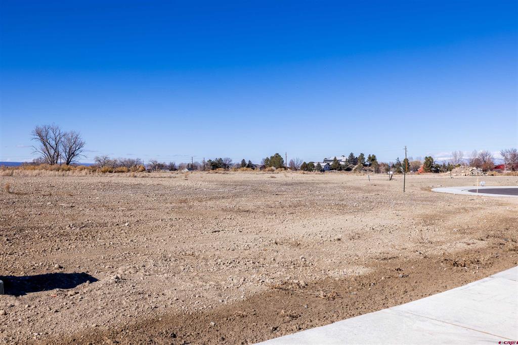 Lot 8 Galway Court Property Photo 2