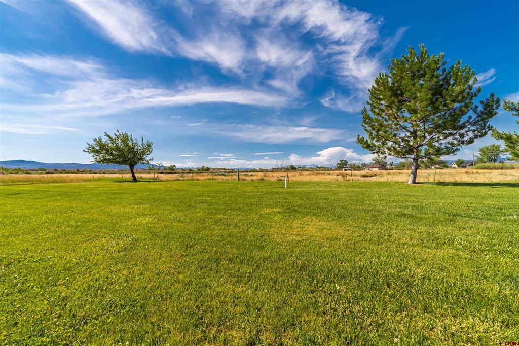 Lot 8 Galway Court Property Photo 19