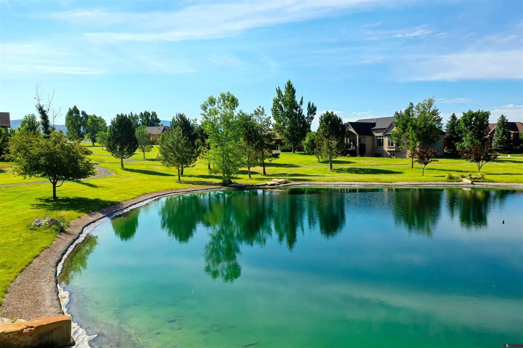 Lot 8 Galway Court Property Photo 28