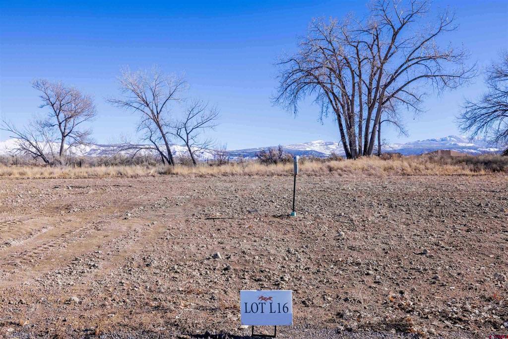Lot 16 Killarney Lane Property Photo 1