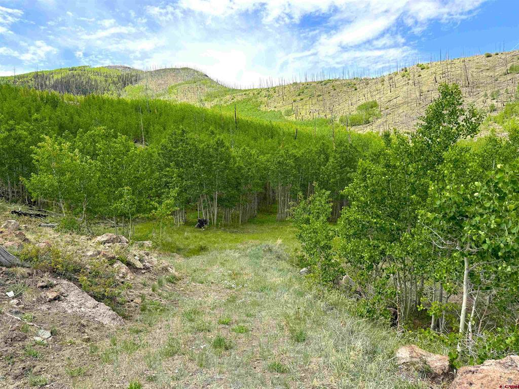 380 Bobcat Court Property Photo 1
