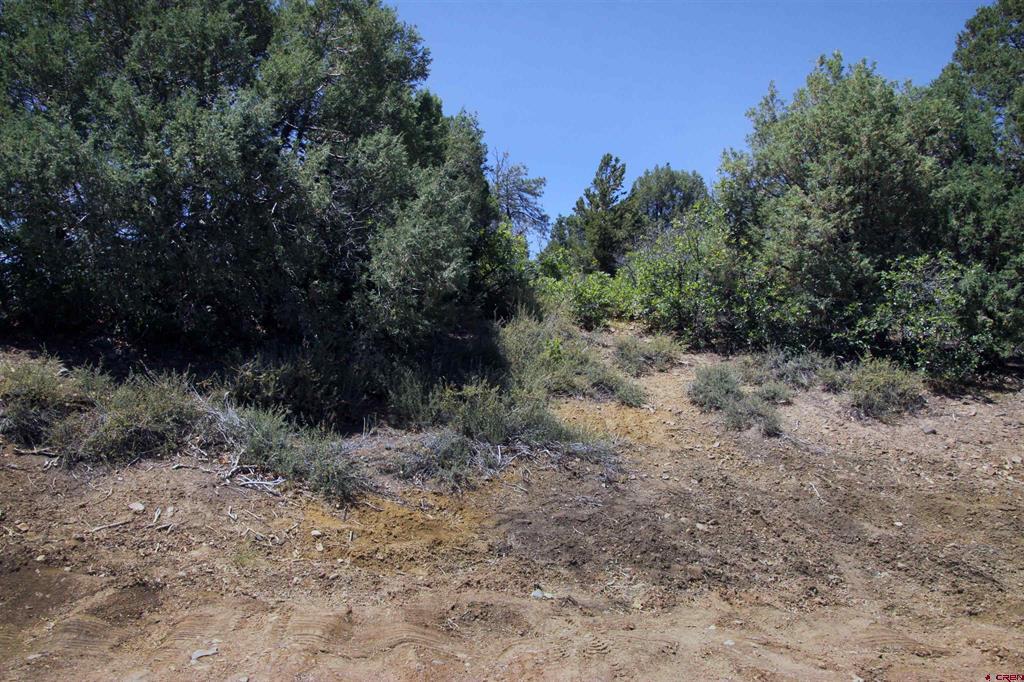 73 Wayne's Court Property Photo 2