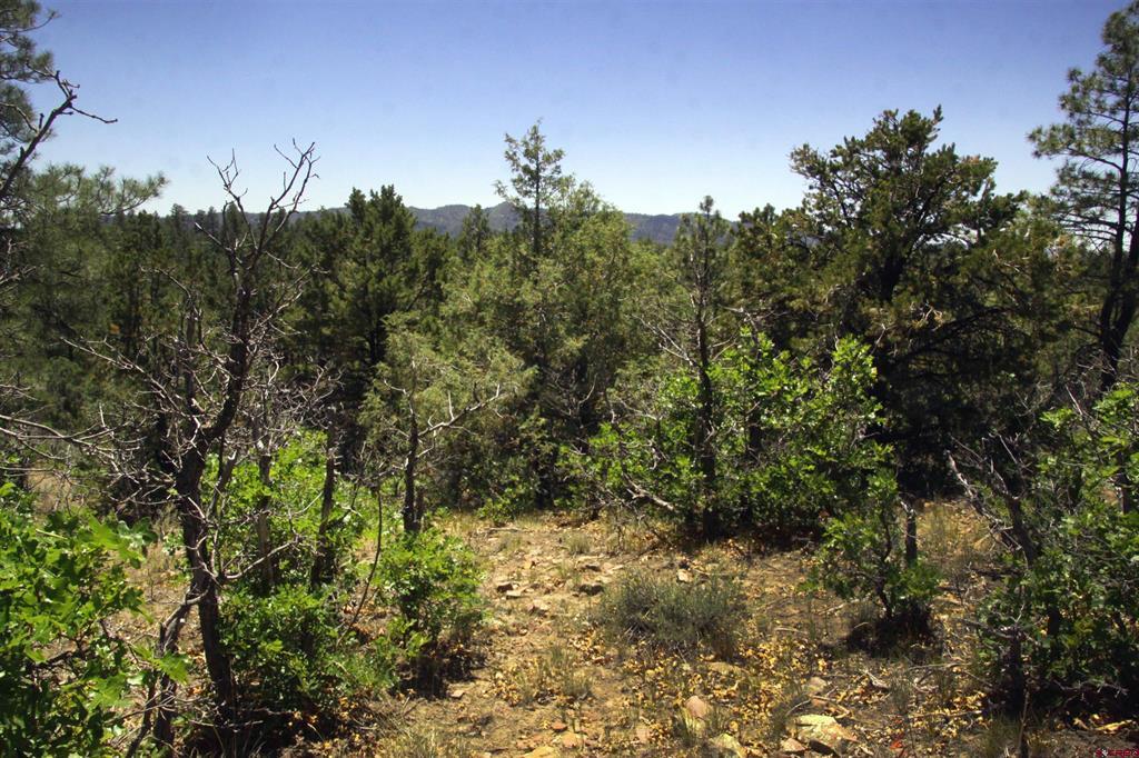 73 Wayne's Court Property Photo 14