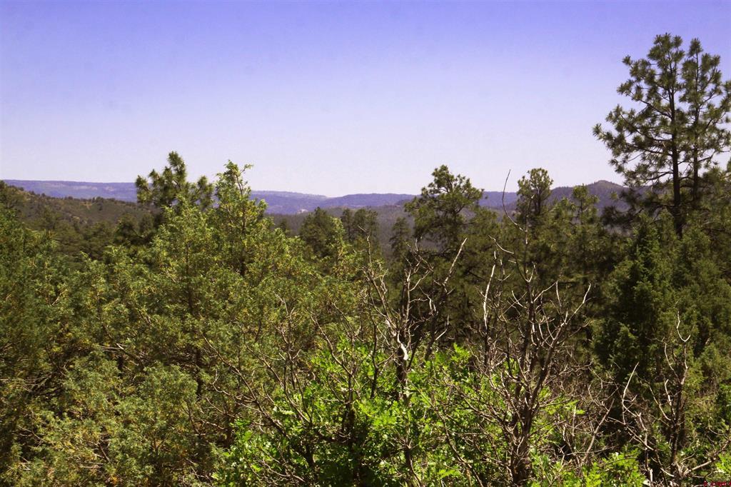 73 Wayne's Court Property Photo 19