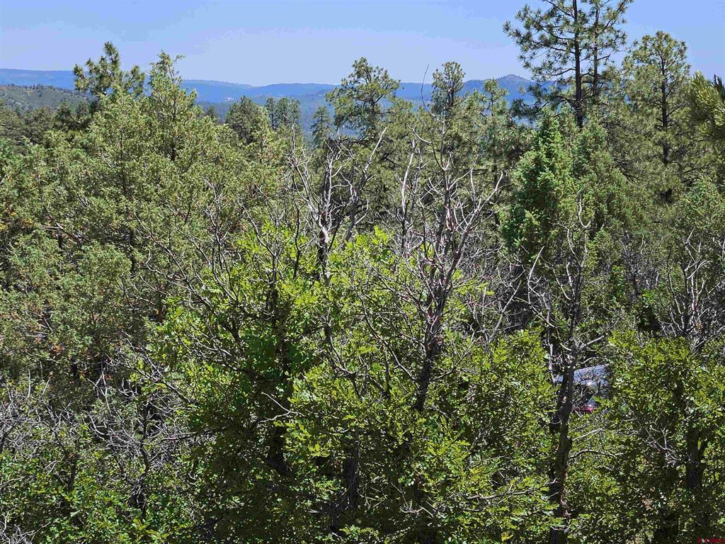 73 Wayne's Court Property Photo 22