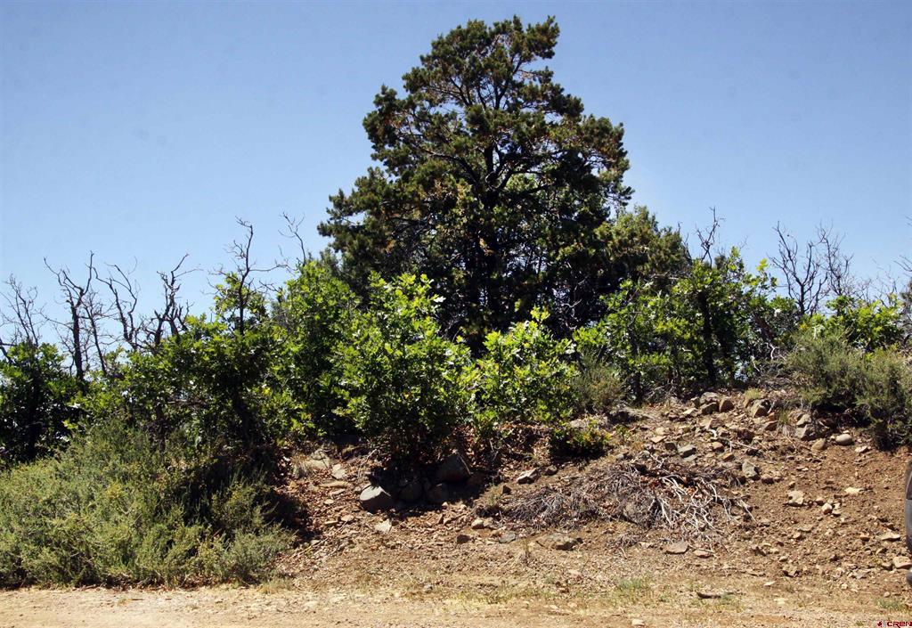 73 Wayne's Court Property Photo 30