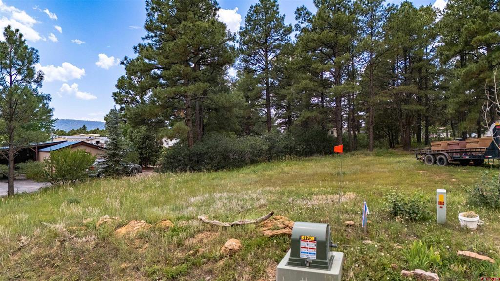 234 Fireside Street Property Photo 16